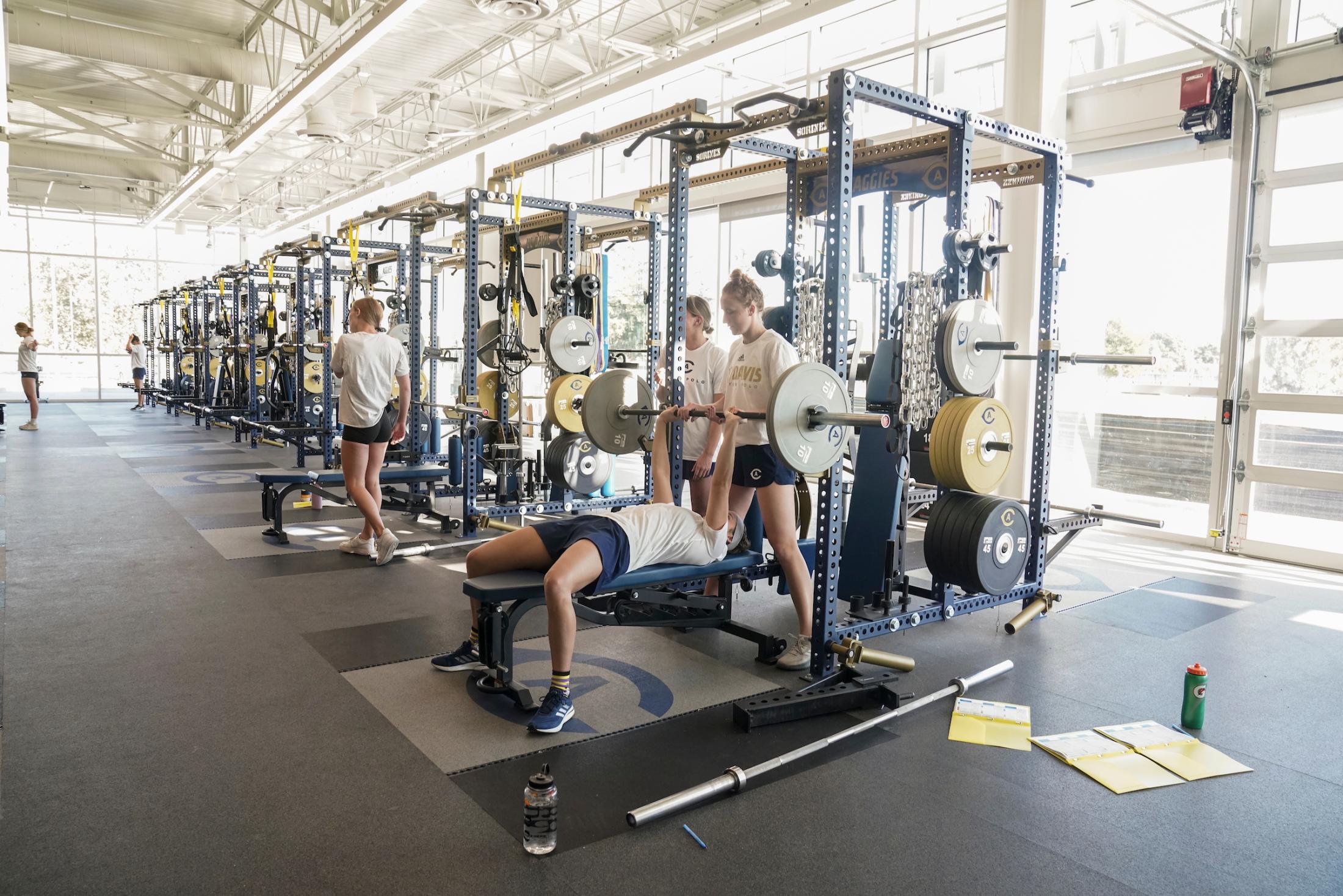Students lifting weights in the Edwards Family Athletic Center