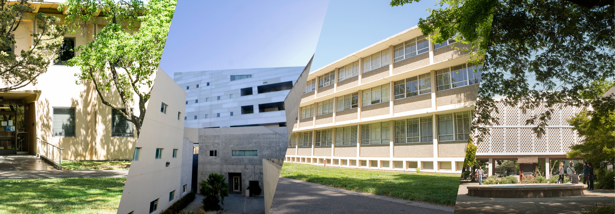 Collage of photos of exteriors of buildings, from left: Sprocket Building, Social Sciences and Humanities Building, Young Hall, Voorhies Hall