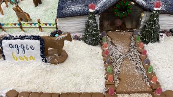 Aggie Barn constructed out of gingerbread, accompanied by a gingerbread stable and horses