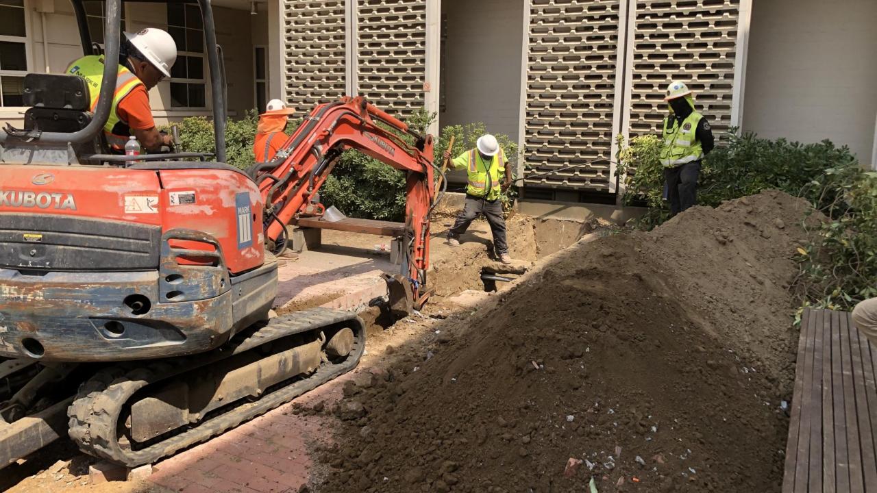 Trenching in the Young Hall courtyard