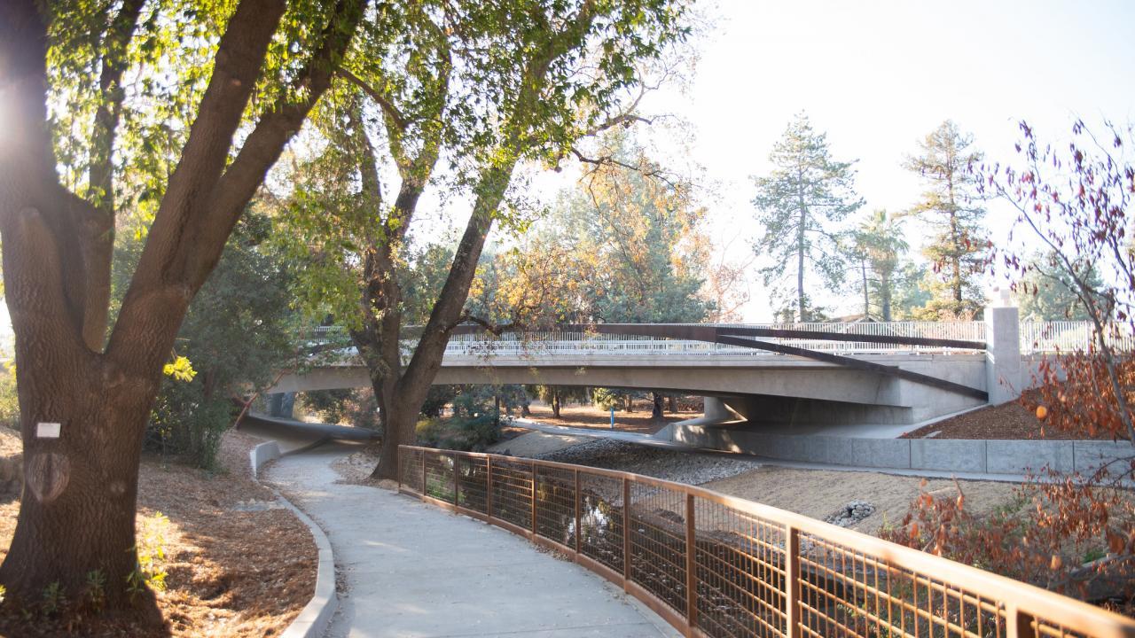 Arboretum