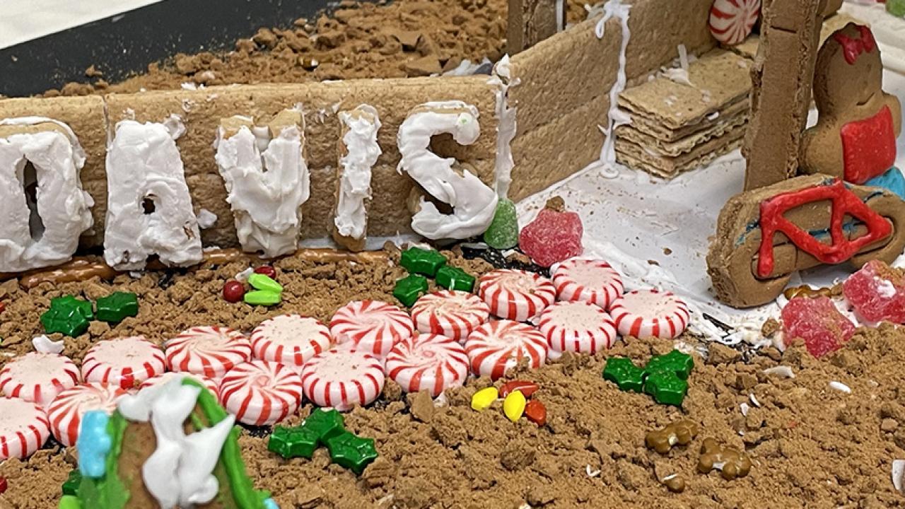 Photo of the UC Davis Howard Way entry as interpreted with gingerbread.