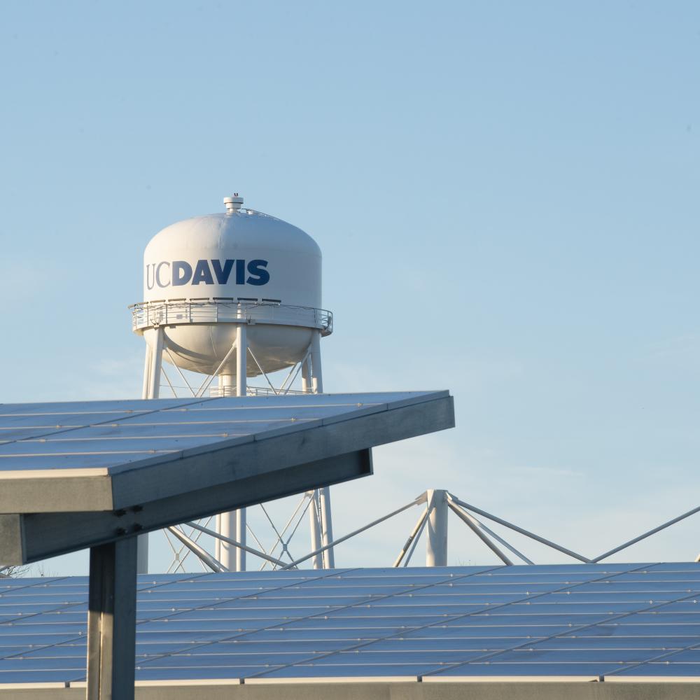 The UC Davis water tower rises in the background, solar panels stand in the foreground