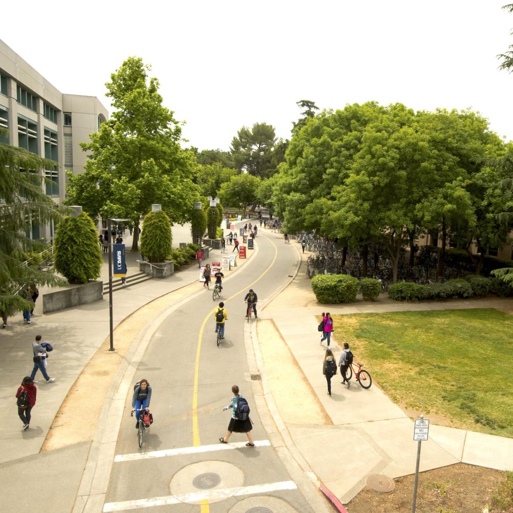 Aerial view of a bike path along the west end of Shields library