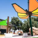 Large butterfly shaped shade structure outside of Orchard Park