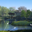 Rendering of the Arboretum Waterway restoration