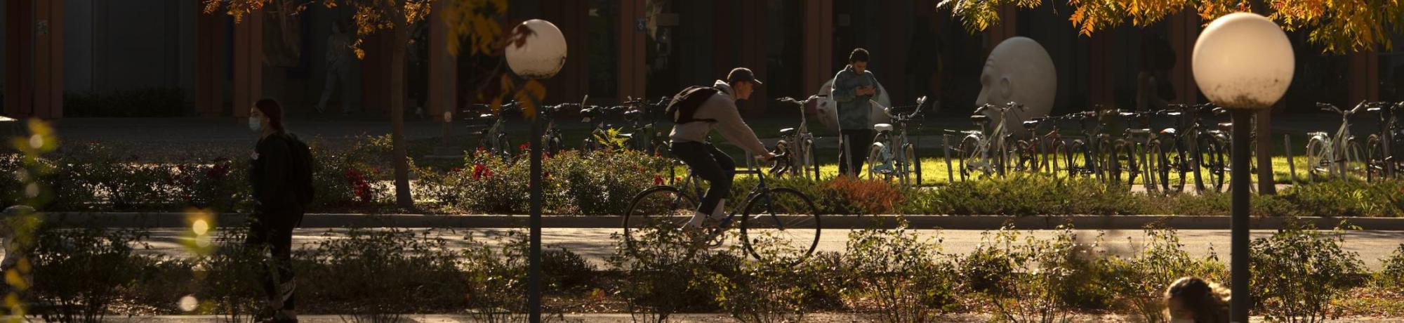 Person biking in front of Wright Hall