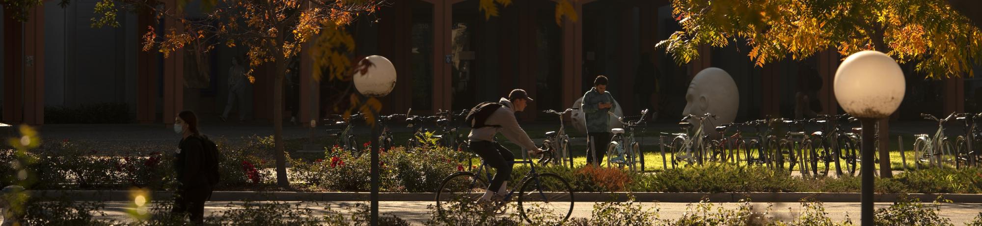 Person biking in front of Wright Hall